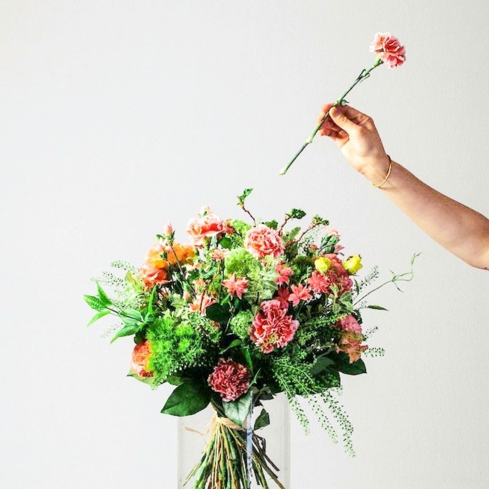 Smoke Free Pet Free Home